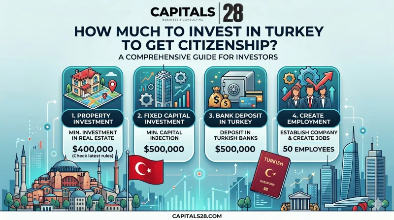 How Much to Invest in Turkey to Get Citizenship